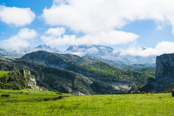 View of the highest peaks in the Picos de Europa natural park, en route to the Covadonga Lakes with low clouds. Photograph taken in Asturias, Spain.