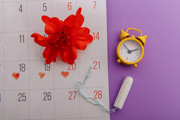 Female's menstrual cycle concept. Menstrual calendar with tampon, alarm clock and red flower on a lilac background.