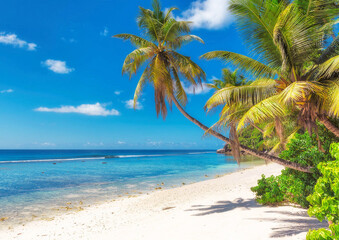Fototapeta na wymiar Palm Trees On Beach Against Sky