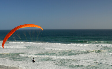 A paraglider cruising along the beach like a sea bird