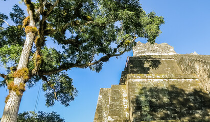 Obraz premium Temple of the Masks, El Peten, Grand Plaza, Tikal National Park, Yucatan, Guatemala