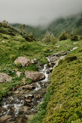 mountain river in the mountains