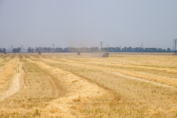 Fototapeta na wymiar wheat harvesting by combine harvesters