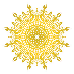 yellow sun flower