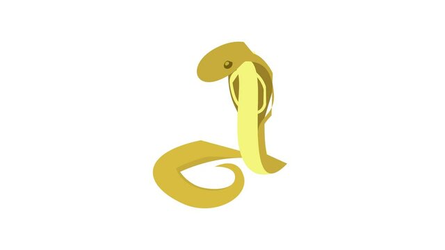 Cobra icon animation best object on white background