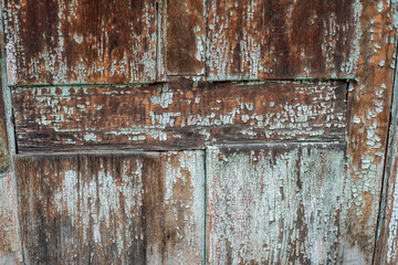 the texture of the tree