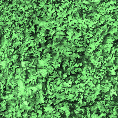 Thuja tree seamless pattern background vector image