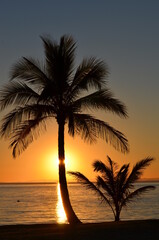 Fototapeta na wymiar Silhouette Palm Tree By Sea Against Sky At Sunset
