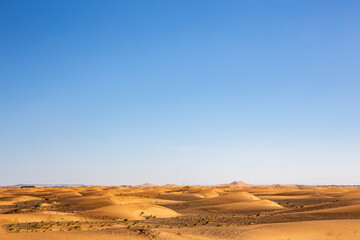 Fototapeta na wymiar Simple desert landscape with golden sand dunes, low horizon, crystal blue sky, copy space, background.
