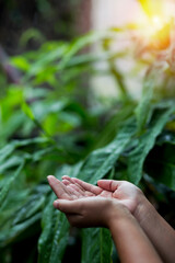 Technology, hand holding with environment Icons over the Network connection on green background.