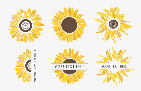 Color sunflowers set. Flower border.