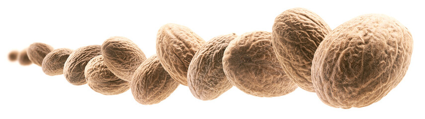 Ripe nutmegs levitate on a white background
