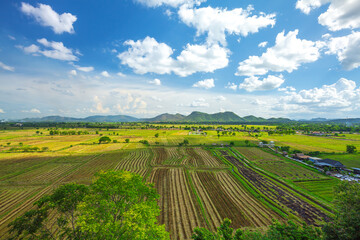 Rice Terrace Aerial Shot. Image of beautiful terrace rice field in Chiang Rai Thailand