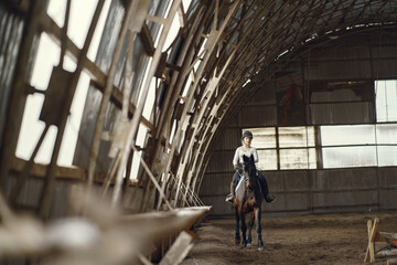 Cute girl with a horse. Lady in a white t-shirt. Woman in a summer ranch.