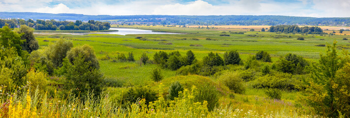 Summer landscape with trees and bushes on a wide meadow and river and forest in the distance