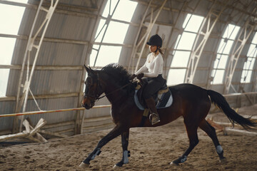 Cute girl with a horse. Lady in a white t-shirt. Woman in a summer ranch.