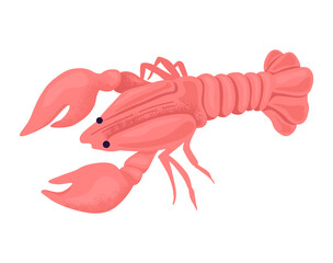 Ocean lobster ocean animal, fresh pink crayfish flat vector illustration, isolated on white. Concept crustacean wild animal, sea foodstuff caught sea world water, tropical delicacy.