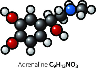 A molecule of adrenaline/epinephrine.