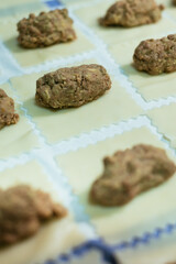 Cooking cannelloni at the kitchen