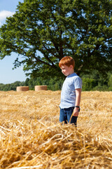 Naklejka na ściany i meble portrait of a seven-year-old boy in a field