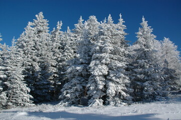 Kandel; Germany; Freiburg Breisgau