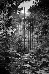 gate into the woods