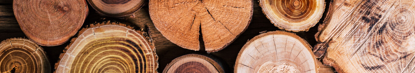 Wooden saw cut. Close-up. Long horizontal banner