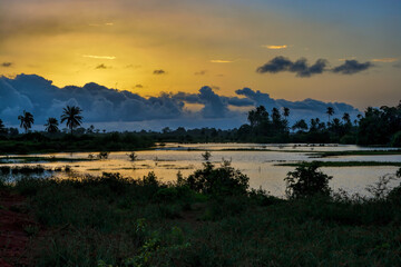 Perfect colorful African sunset with backlit silhouette of palm trees. Guinea, West Africa.