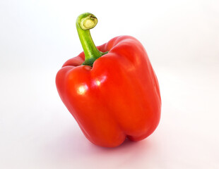red paprika on a white background