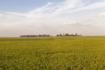 an agricultural field