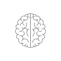 Brain on a white background, vector illustration	