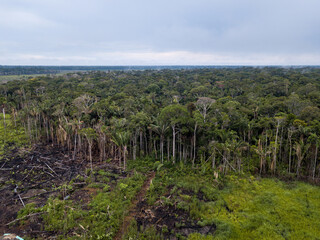 Fototapeta na wymiar Drone aerial view of deforestation burn meadow in cattle pasture farm in the Amazon rainforest, Brazil. Concept of ecology, conservation, co2, agriculture, global warming and environment.