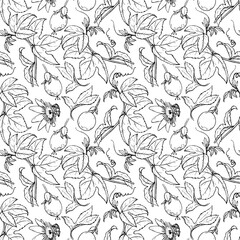 Fototapeta premium Seamless pattern with sketches of branches and passionfruit.