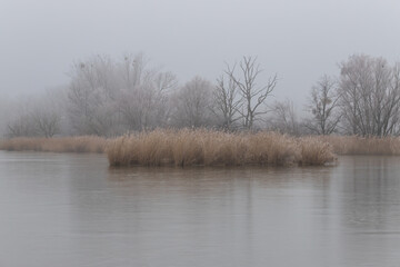 Bird Island in the middle of the pond and there is fog around.