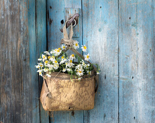 A bunch of daisies in an old basket hangs on the door handle.