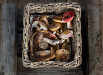 Wicker basket with fresh mushrooms on a wooden background.