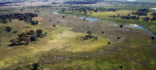 Fototapeta na wymiar View of the Okavango Delta from bird's eye view. Inland delta of the Okavango River from a bird's eye view.