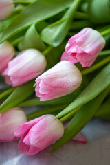 Bouquet of tulips. Pink tulips with dew drops.Greeting card with flowers 8 March.Valentine's day postcard. Easter.Delicate bouquet of flowers.tulips close-up.Beautiful flowers for a postcard. for text