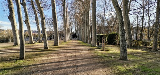 Palacio real Aranjuez 