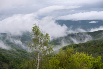 Spring fogs in the mountains