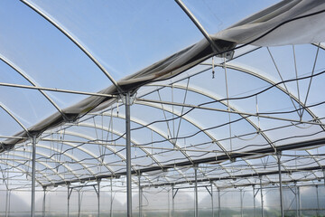 Internal structure in greenhouse with sprinkler irrigation