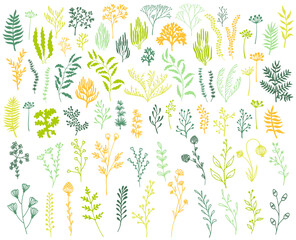 Seaweeds and coral reef underwater plans vector collection. Aquarium, ocean and marine algae water plants, corals isolated on white. Seaweeds polyps silhouettes set. Branches, twigs and flowers.