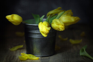A bouquet of yellow tulips in a metal vase on a wooden table.