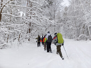 Group of tourists in the winter forest