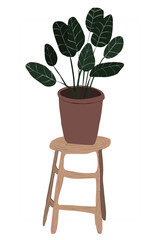 Hand drawn boho house plants. Scandinavian style illustration, modern and elegant home decor.