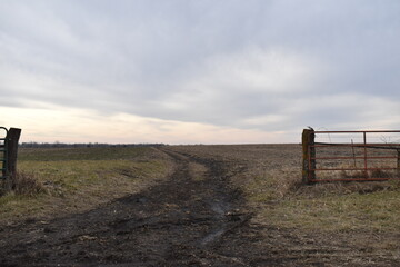 Muddy Farm Field