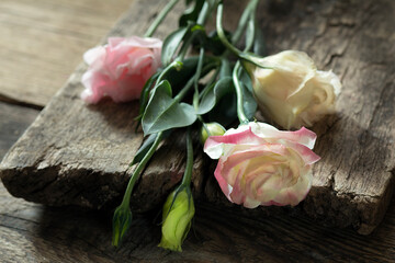 pink rose on wooden background