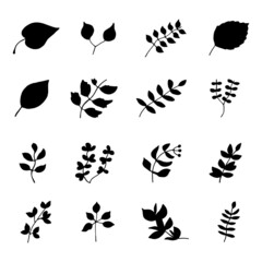 leaves and twigs silhouette set vector