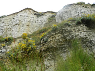 landscape with rocks