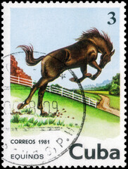 Postage stamp issued in the Cuba with the image of the Horse, Equus ferus caballus. From the series...